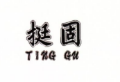 TING GU(挺固)